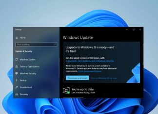 Windows 10 paid updates